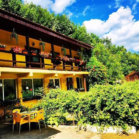 Bed and Breakfast House In The Woods Resita Exterior foto