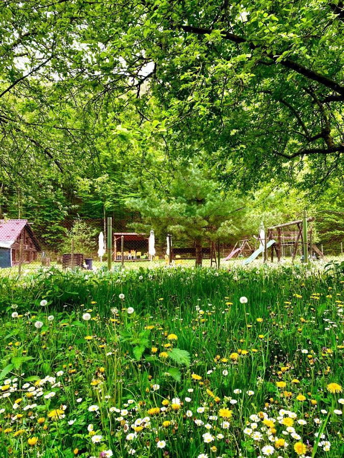 Bed and Breakfast House In The Woods Resita Exterior foto