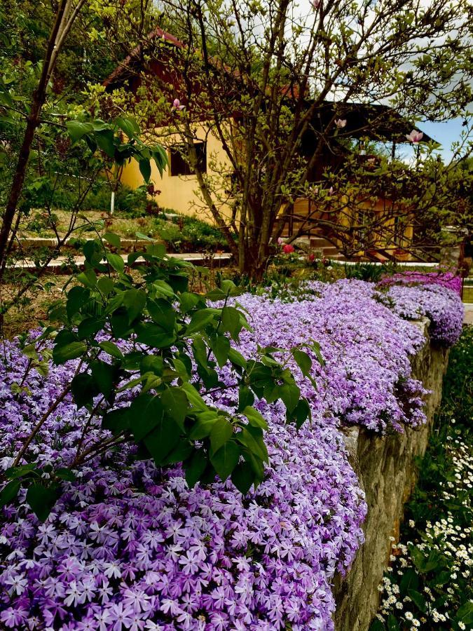 Bed and Breakfast House In The Woods Resita Exterior foto