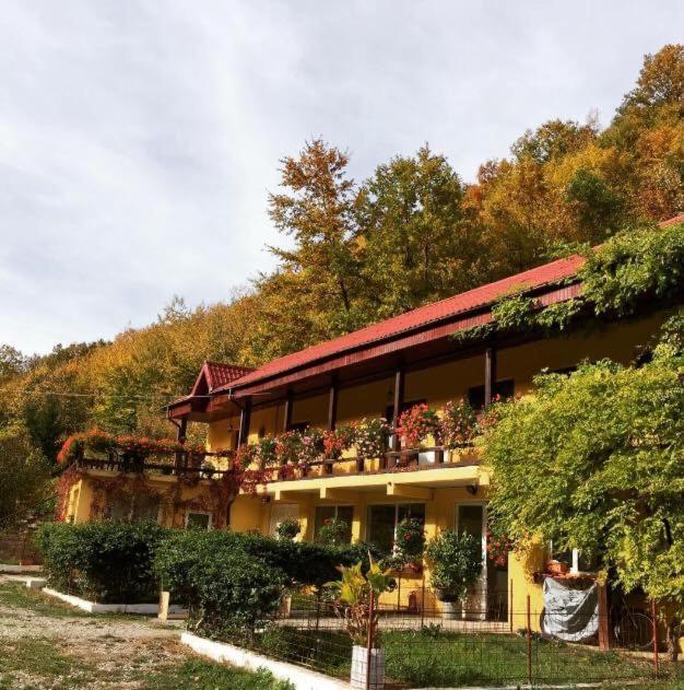 Bed and Breakfast House In The Woods Resita Exterior foto