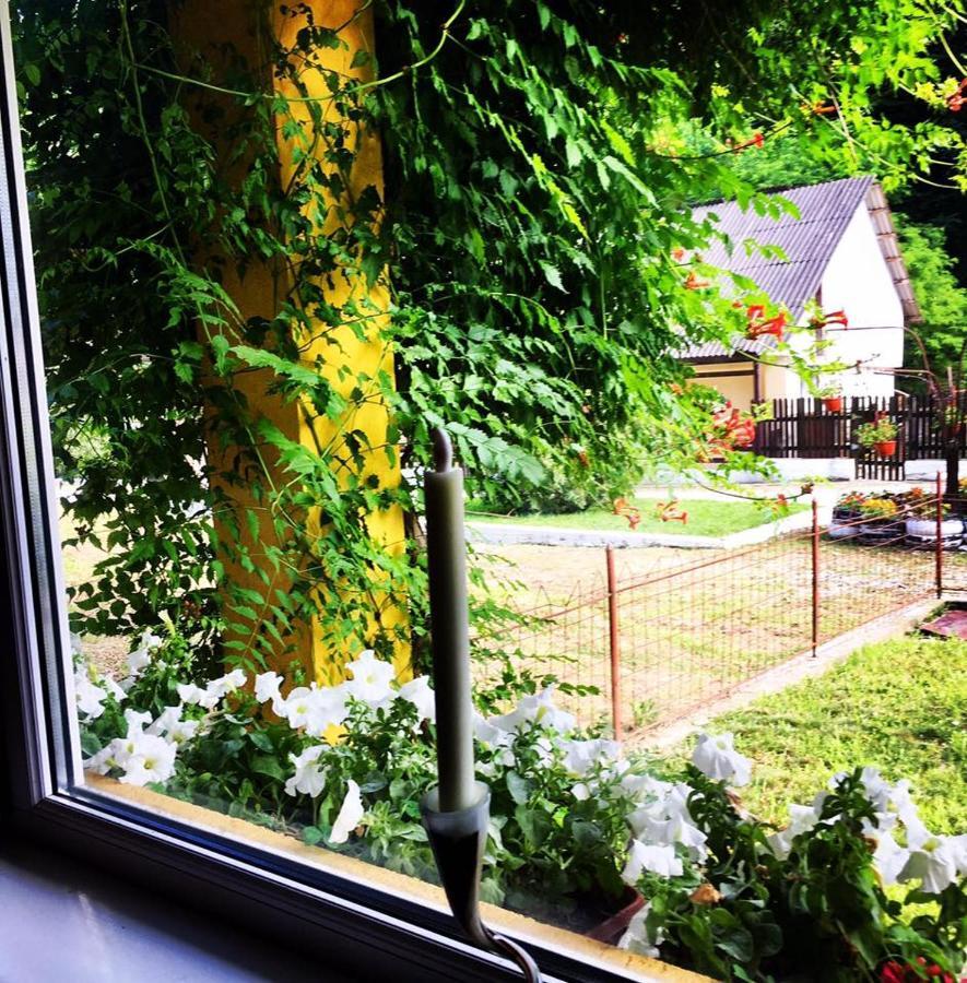 Bed and Breakfast House In The Woods Resita Exterior foto