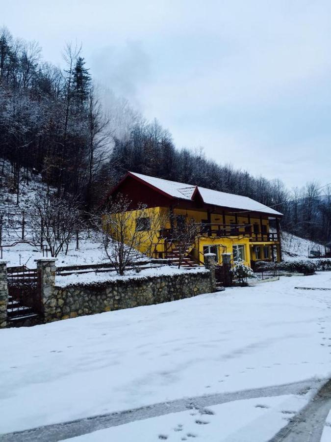 Bed and Breakfast House In The Woods Resita Exterior foto