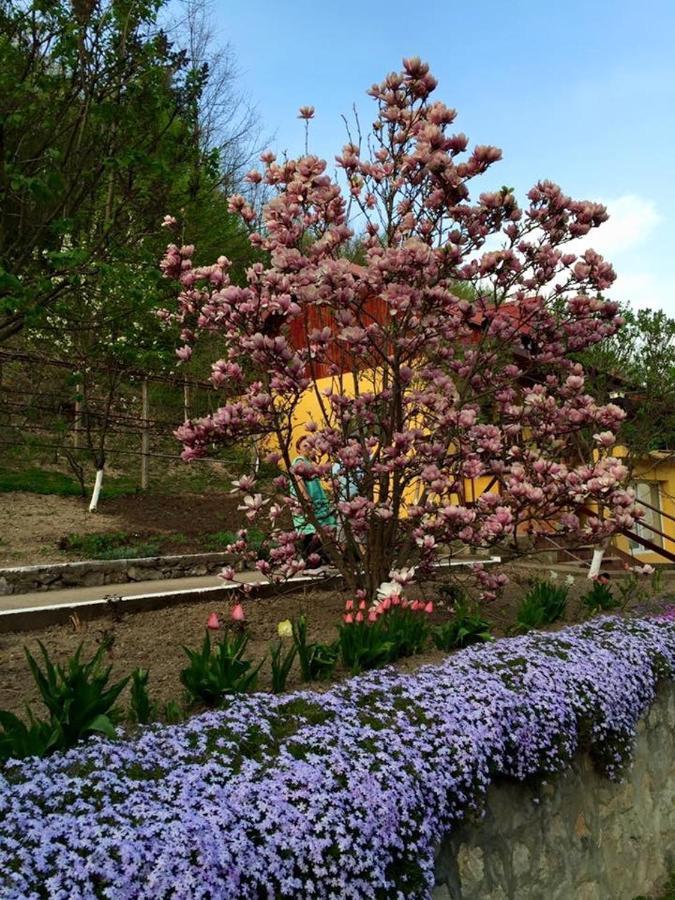 Bed and Breakfast House In The Woods Resita Exterior foto