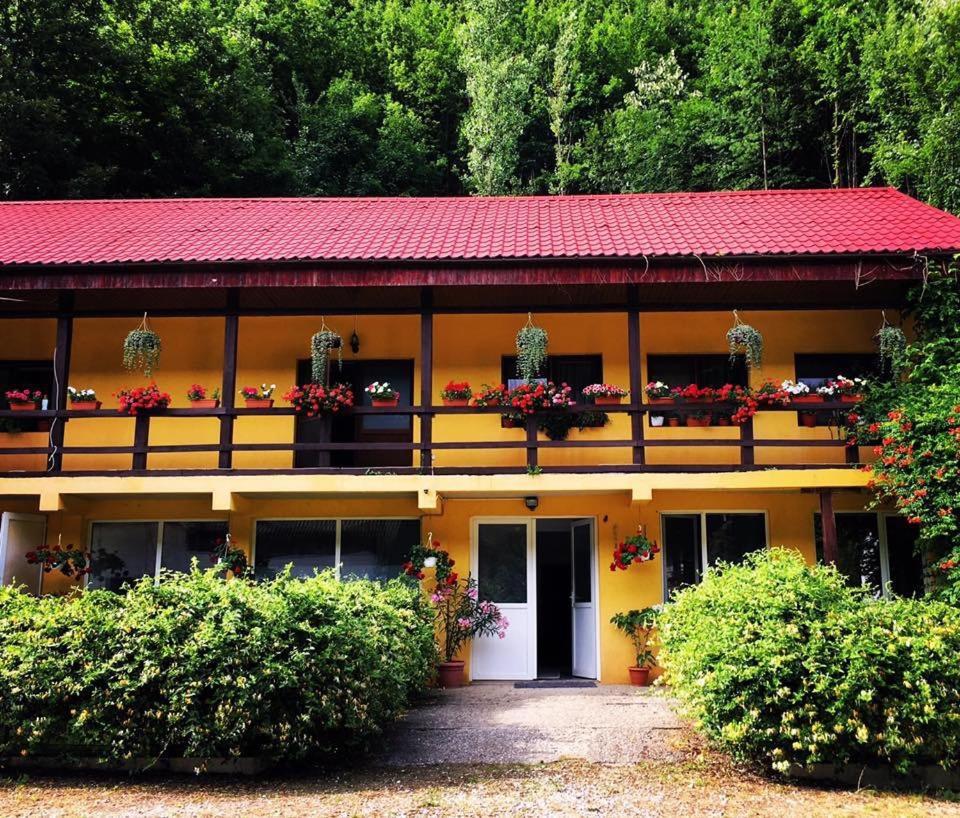 Bed and Breakfast House In The Woods Resita Exterior foto